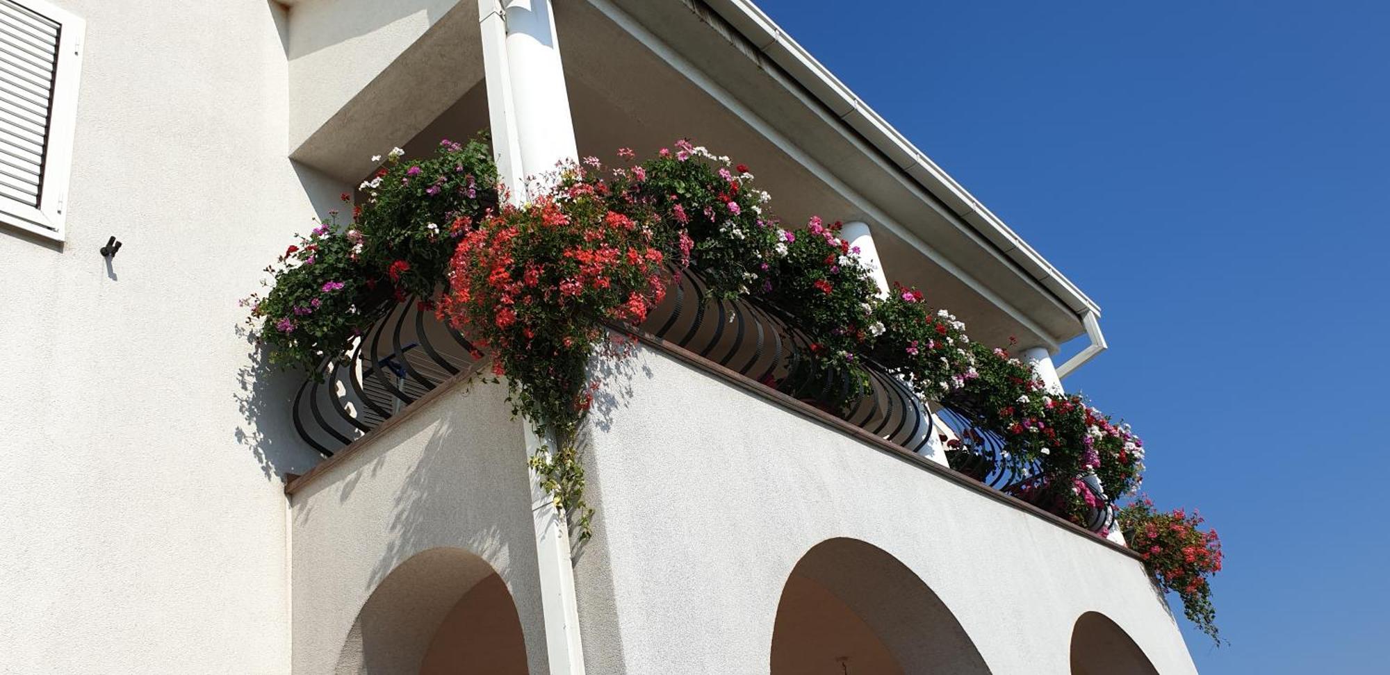 Apartamento Eko Eko Rijeka Exterior foto